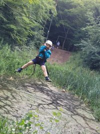 photo of Beaver on zip wire
